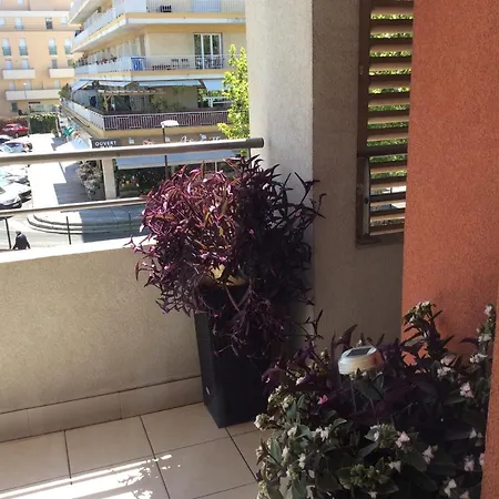 Bord De Apartment